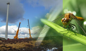 jkw environmental services ireland